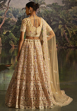 Embroidered Net Lehenga in Beige