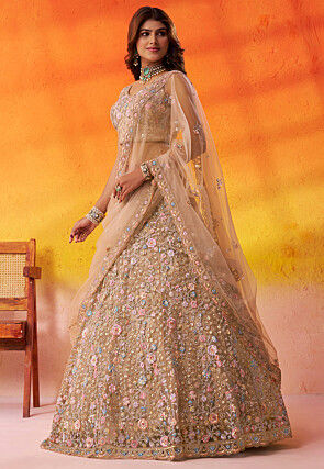 Embroidered Net Lehenga in Beige