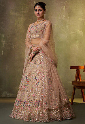 Embroidered Net Lehenga in Beige