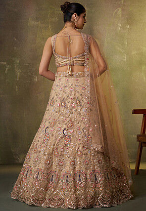 Embroidered Net Lehenga in Beige
