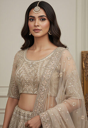 Embroidered Net Lehenga in Beige