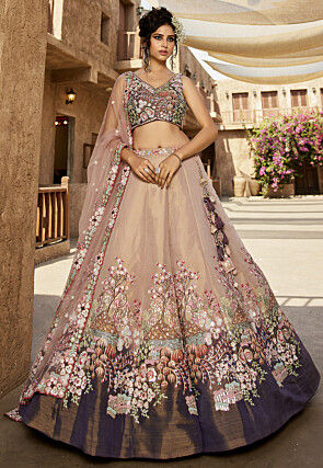 Embroidered Net Lehenga in Beige