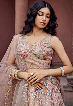 Embroidered Net Lehenga in Beige