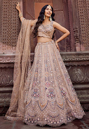 Embroidered Net Lehenga in Beige