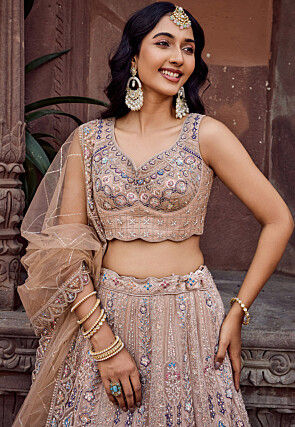 Embroidered Net Lehenga in Beige