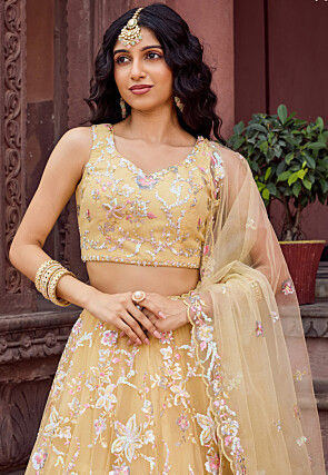Embroidered Net Lehenga in Beige