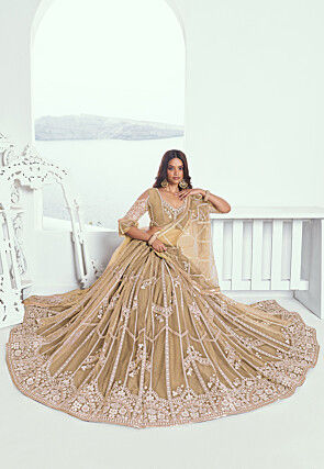 Embroidered Net Lehenga in Beige