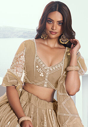 Embroidered Net Lehenga in Beige
