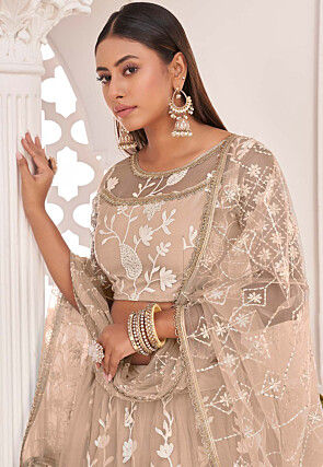 Embroidered Net Lehenga in Beige