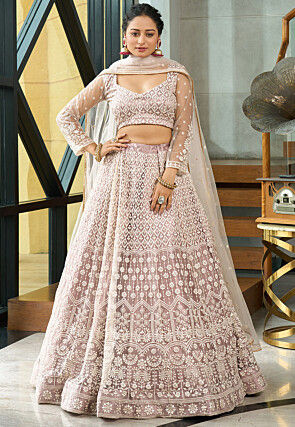 Embroidered Net Lehenga in Beige