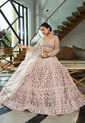 Embroidered Net Lehenga in Beige