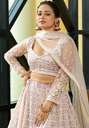 Embroidered Net Lehenga in Beige