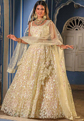 Embroidered Net Lehenga in Beige