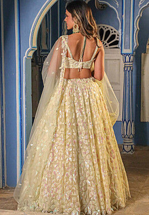 Embroidered Net Lehenga in Beige