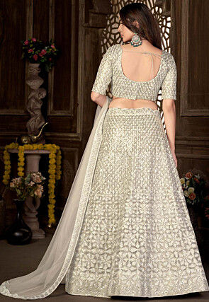 Embroidered Net Lehenga in Beige