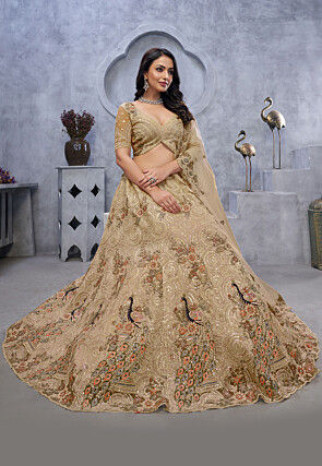 Embroidered Net Lehenga in Beige