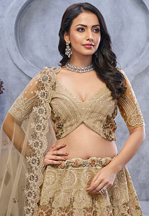 Embroidered Net Lehenga in Beige
