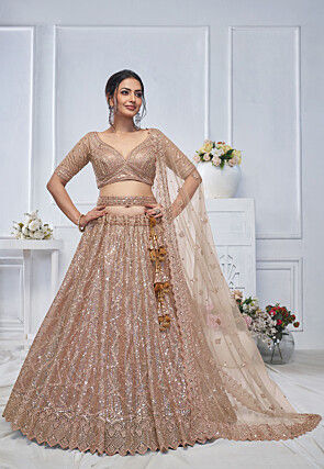 Embroidered Net Lehenga in Beige