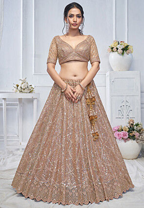 Embroidered Net Lehenga in Beige