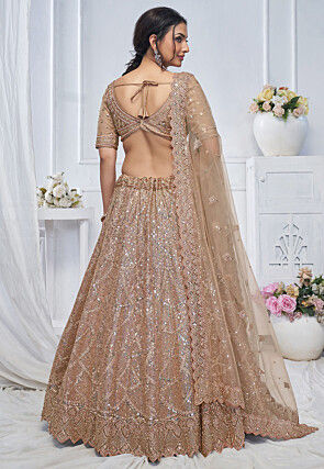 Embroidered Net Lehenga in Beige