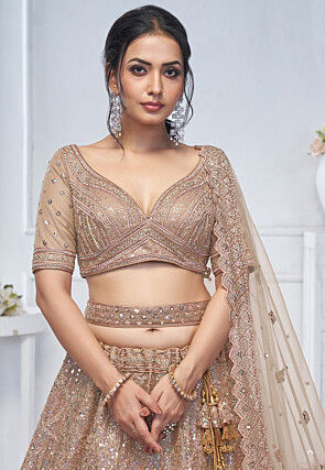 Embroidered Net Lehenga in Beige