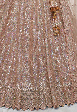 Embroidered Net Lehenga in Beige