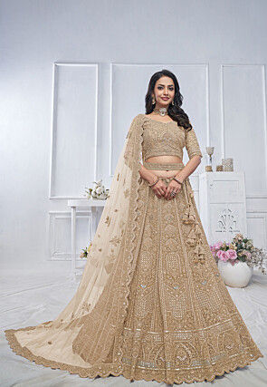 Embroidered Net Lehenga in Beige