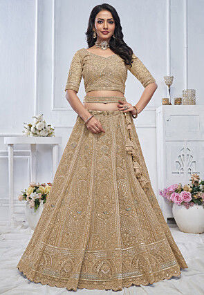 Embroidered Net Lehenga in Beige