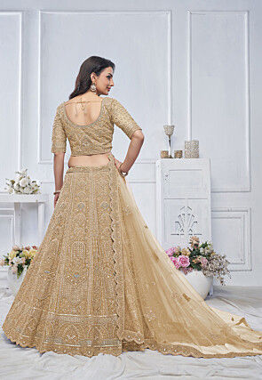Embroidered Net Lehenga in Beige