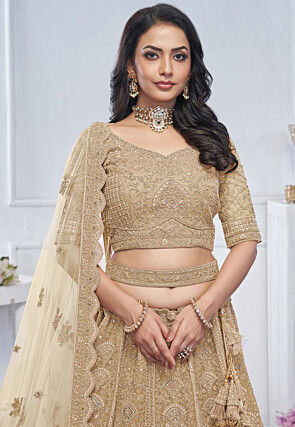 Embroidered Net Lehenga in Beige