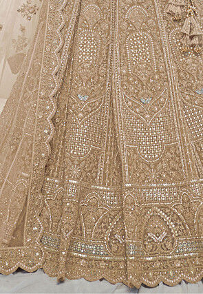 Embroidered Net Lehenga in Beige