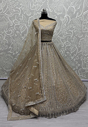 Embroidered Net Lehenga in Beige