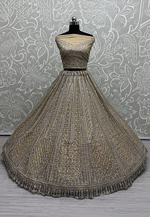Embroidered Net Lehenga in Beige