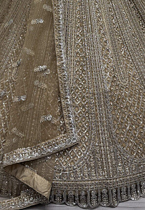 Embroidered Net Lehenga in Beige