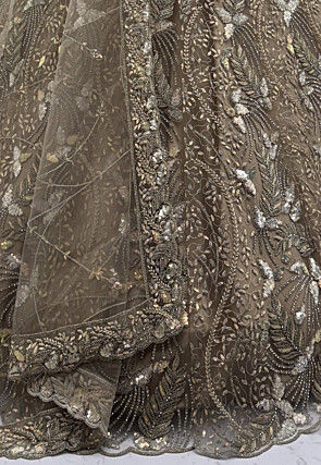 Embroidered Net Lehenga in Beige