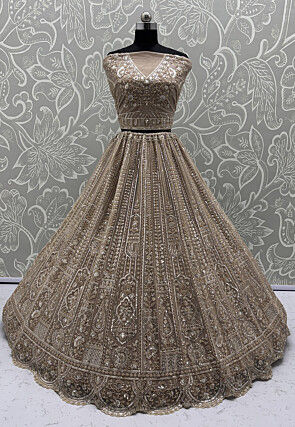 Embroidered Net Lehenga in Beige