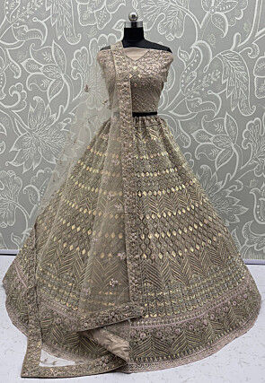 Embroidered Net Lehenga in Beige
