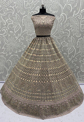 Embroidered Net Lehenga in Beige