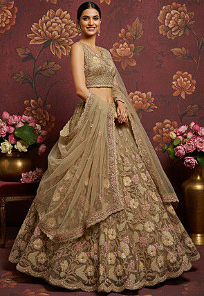 Embroidered Net Lehenga in Beige