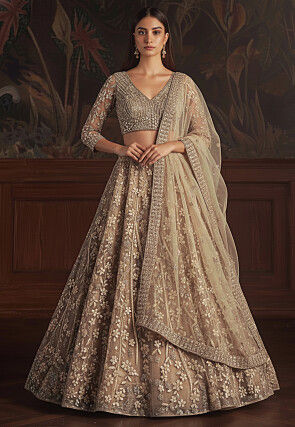 Embroidered Net Lehenga in Beige