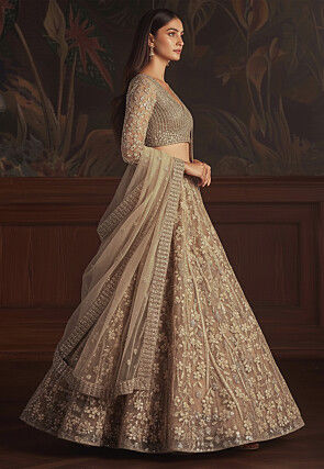 Embroidered Net Lehenga in Beige