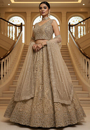 Embroidered Net Lehenga in Beige