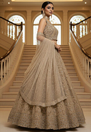 Embroidered Net Lehenga in Beige