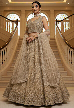 Embroidered Net Lehenga in Beige