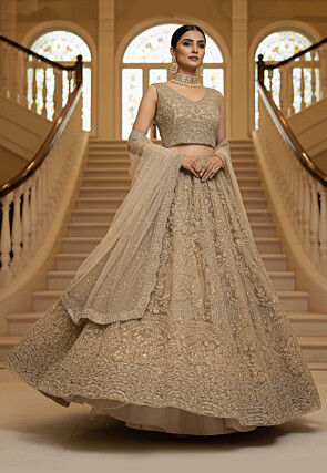 Embroidered Net Lehenga in Beige