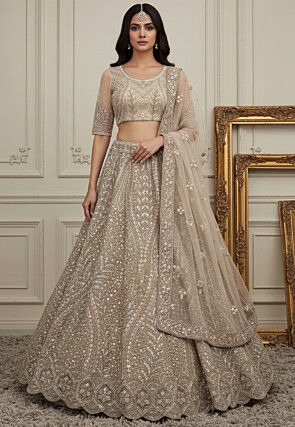 Embroidered Net Lehenga in Beige