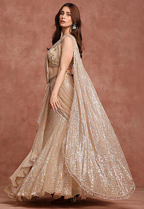 Embroidered Net Lehenga in Beige