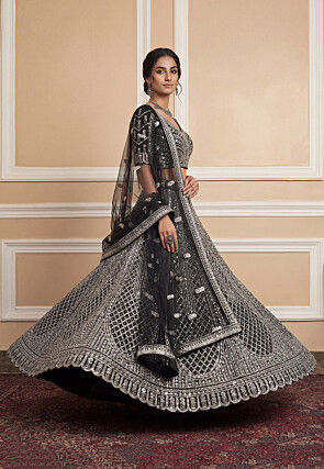 Embroidered Net Lehenga in Black