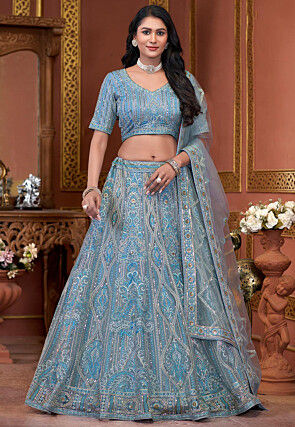 Embroidered Net Lehenga in Blue