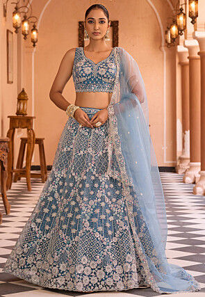 Embroidered Net Lehenga in Blue